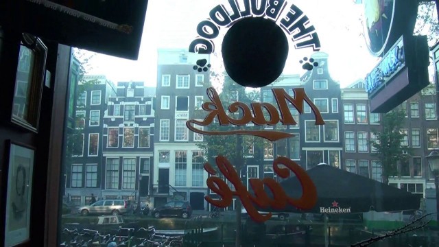 Buck Wild At The Bulldog Mack Cafe Amsterdam