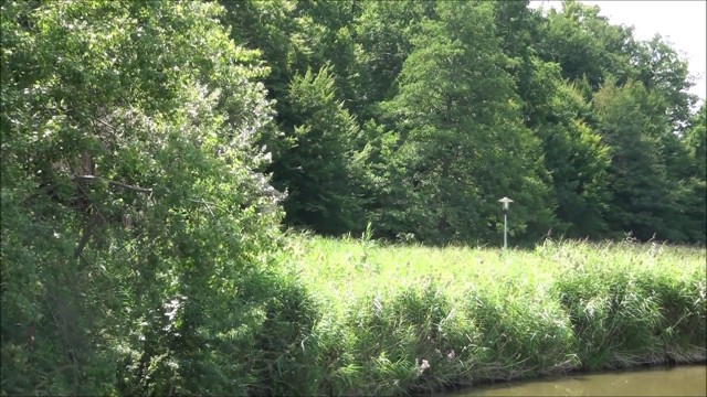 Countryside Area of Sibiu Romania