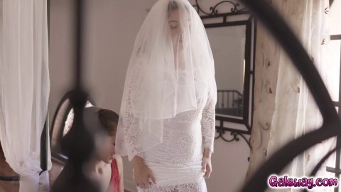 Whitney and April have a quickie with their wedding veils on