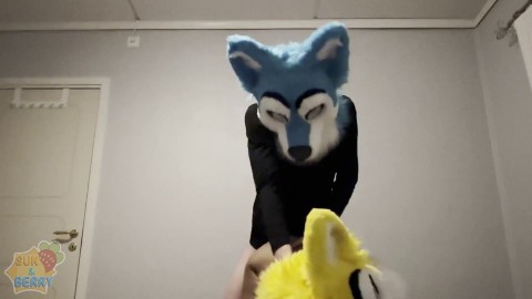 Horny furries fucks in doggy 