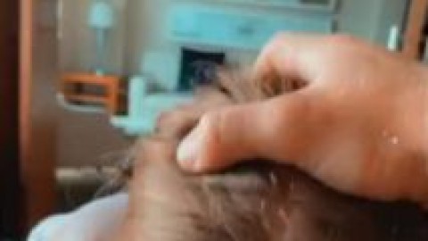 zoie burgher cumshot