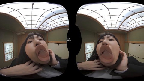 Perverted Female Body Encyclopedia Fetish VR