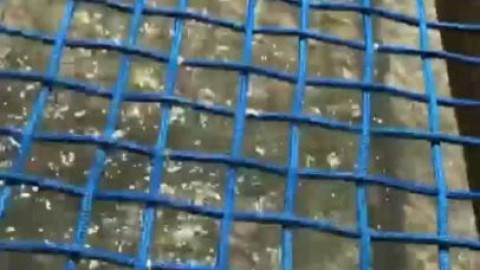 Violetvixxen_ Her Name is L Kinda_Sweet - nsfw.su/ubksmv