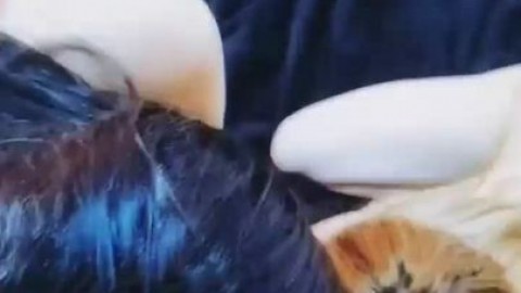 SnowAngel693020 Lana7grant Zoey11 - sluts.su/faqmsh