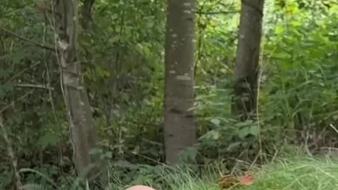 Rayuriah PrettyazLeyLee zete 1 - lustful.su/wdlfqb