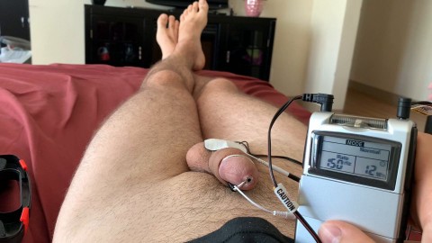 desperately trying to achieve hfo julia softdome Swame