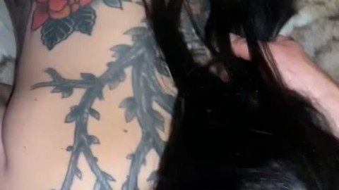 Katelyn Adams Ashlee cat kakao_chan