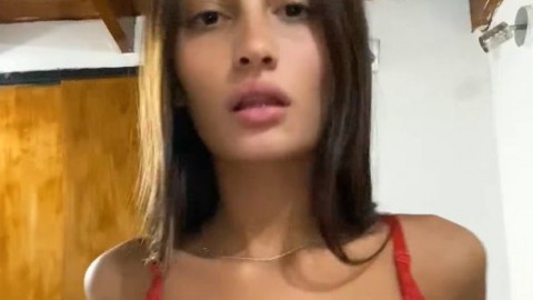 bush rabbit aniaibartosz SouthernSweetie19