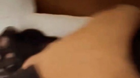 Fuck_Machine_Porn_GIF_1227_sexonly.su