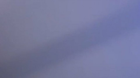 Layla Swann Likeanaddiction tatiana morales