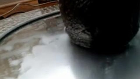 Hot Babe fucks her pussy and squirts