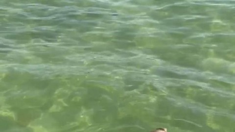 BabyRenn GothicMama OliveLajoie