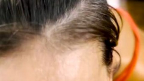 sol peterson argentine porn star wow