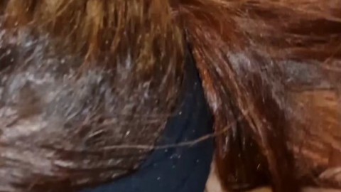 Danimarie 1minuteorless TheForestDame - https://ja.cat/tg