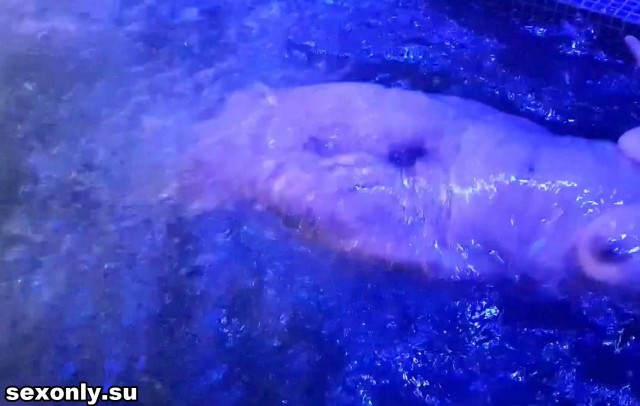 veronicaxxgrey evilbabyslut Butterfly_alice - https://ja.cat/tg