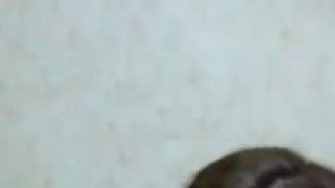 mira_lime Keilah Gort Mrs claws - https://ja.cat/tg