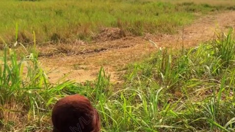 ebony pussy creams riding bbc iWantClips