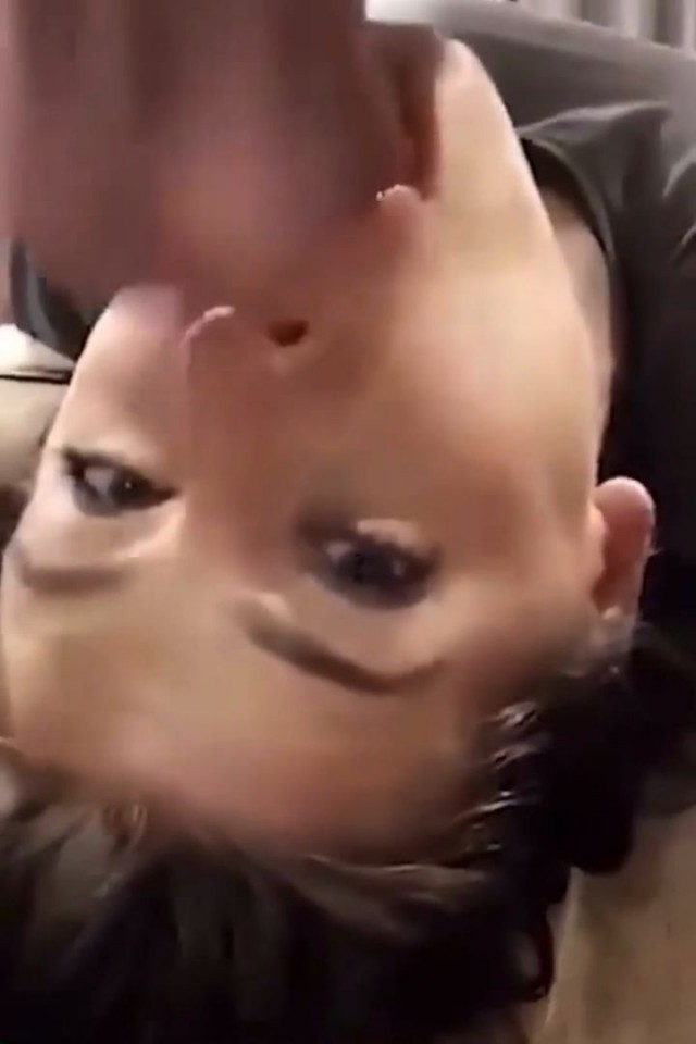 cbga253d1bggbgffc1ec