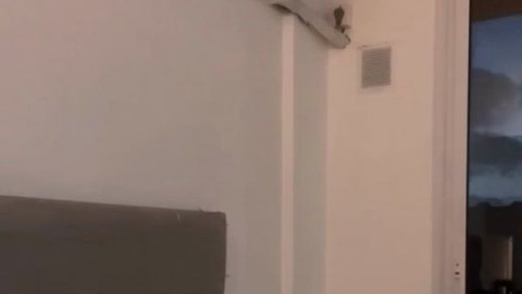 superhornypawg RedBneBby ShannelSynn - https://ja.cat/tg