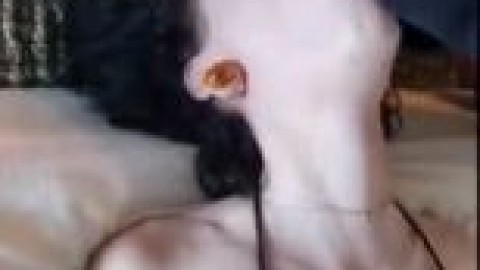 p1k6heqazbvrldhjchlk