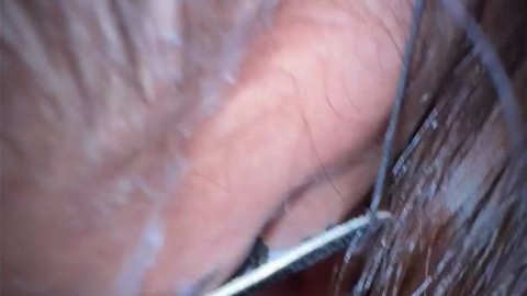 amelie lei BelindaStar missmollie - https://ja.cat/tg