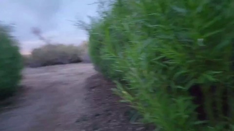 nicole niagara sucking fucking at 亚洲色情网站