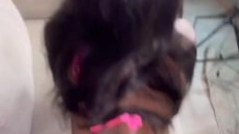 milli da don black tube porn