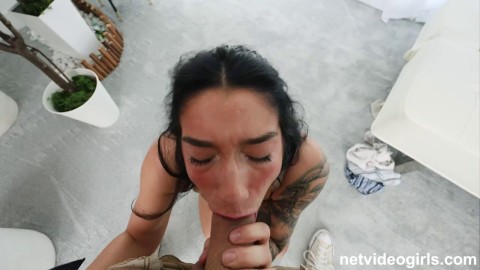 netvideogirls lana trish collins porn meggnut nudes