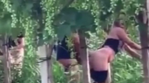 Spying blonde hooker fucking in the woods