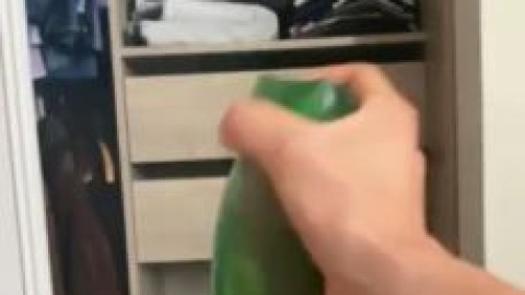 water snake toy porn openl