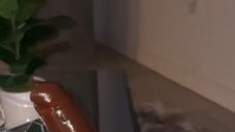 celina powell gives footjob to xxn porn