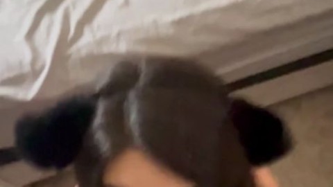 leashed kitty mollyzedolly sucks cock porn hd video