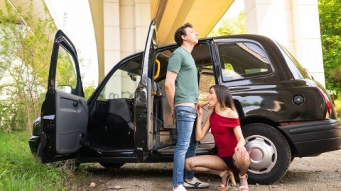 FakeTaxi - No Money No Problem With Megan Love, Alexander Tda